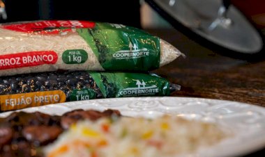 Paragominas| Coopernorte| Agroindústria